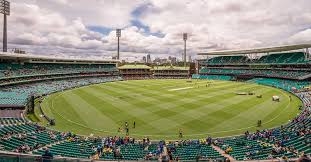 ODI Cricket Future